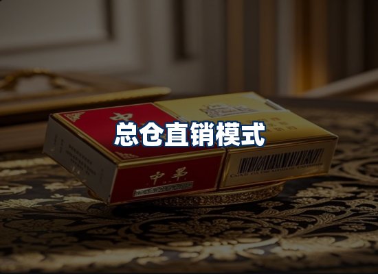 专业团队办公环境